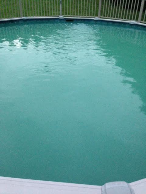 salt water pool cloudy and green