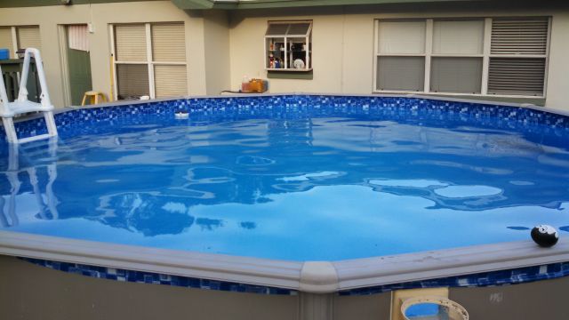 algae above ground pool