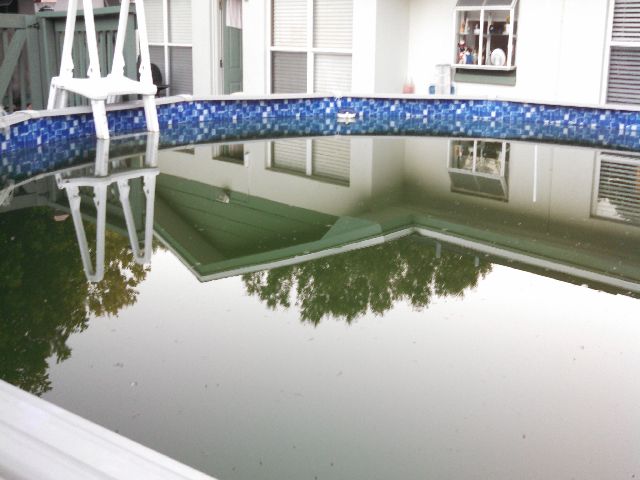 green water in above ground pool