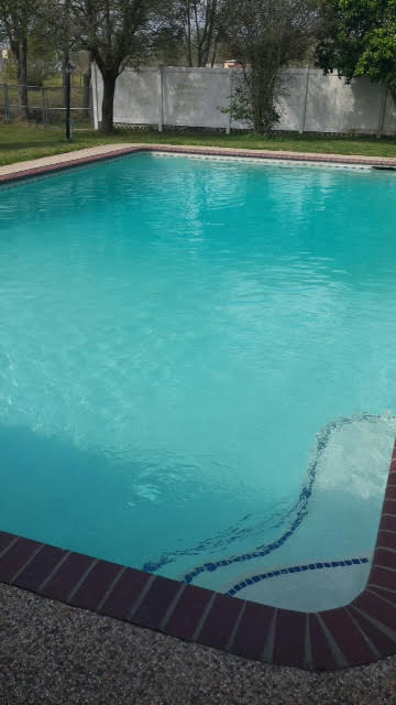 green algae in my pool