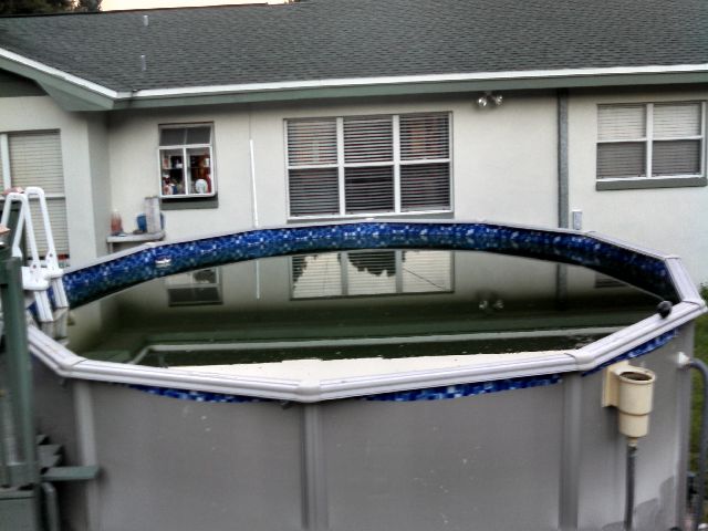 pool still green after adding algaecide