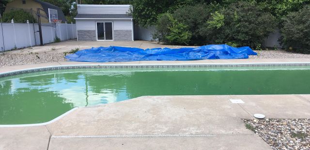 green water in above ground pool