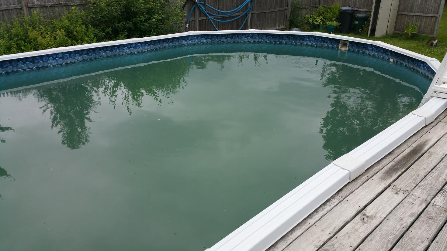 swimming pool cloudy