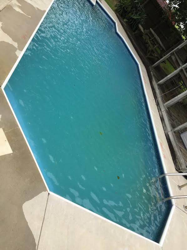 above ground pool green and cloudy