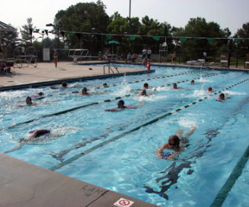 Above Ground Fiberglass Lap Pools lap pools: above ground, inground, fiberglass, exercise, prices Above Ground Fiberglass Lap Pools lap pools: above ground, inground, fiberglass, exercise, prices