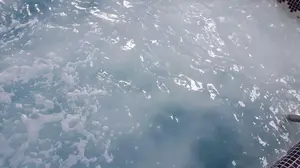 How Can I Get Rid of Pool Foam?  Well, first we need to look at the root cause of the problem.