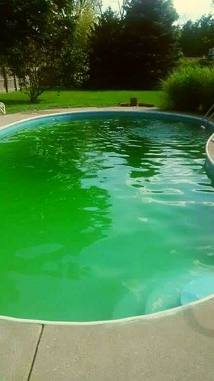 green water in pool
