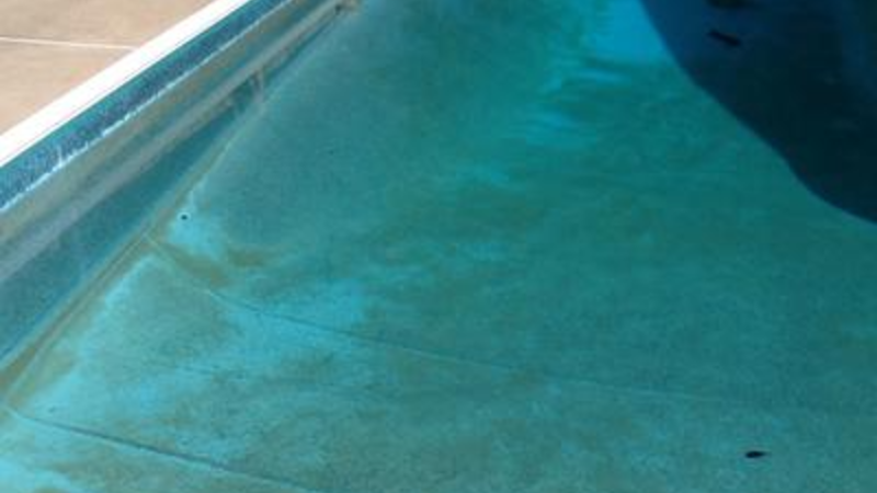 How To Fix A Green Salt Water Pool