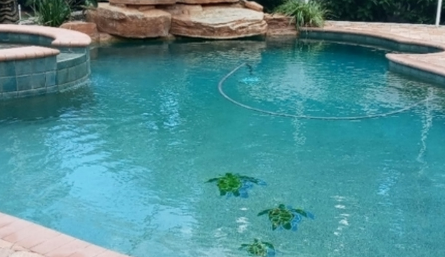 Are you thinking about salt water pool conversion?  Here's how to do it and why it might be a good idea and easier than you think.