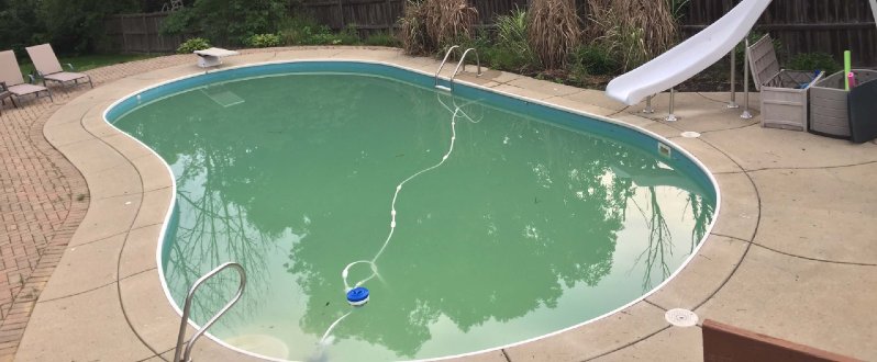 Does your pool have yellow algae, sometimes known as mustard algae?  Take your swimming pool back and learn how to easily clear it up.  