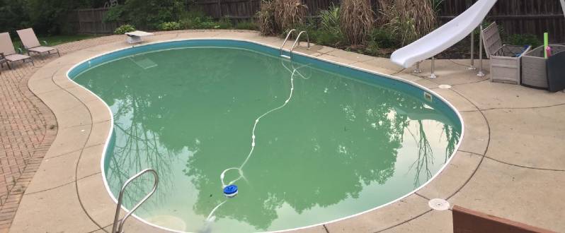 How To Get Rid Of Pollen In Your Pool In 6 Steps