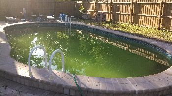 clear green water in pool