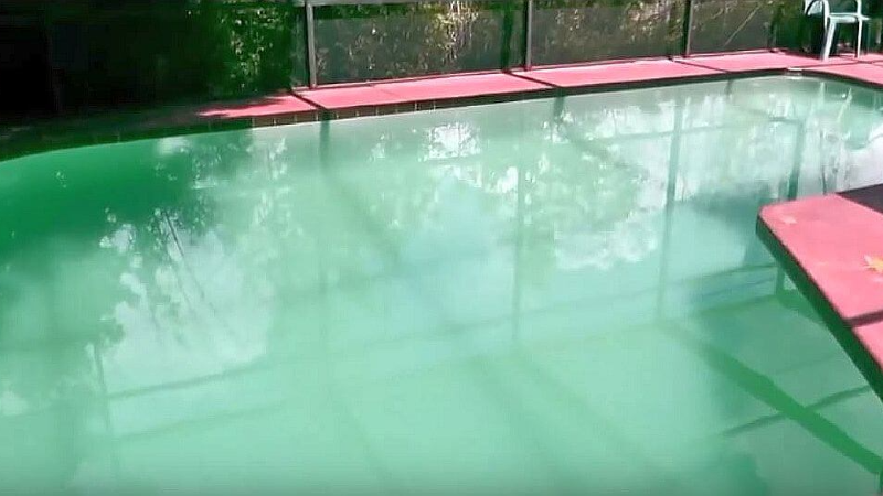 How To Get Rid Of Pollen In Your Pool