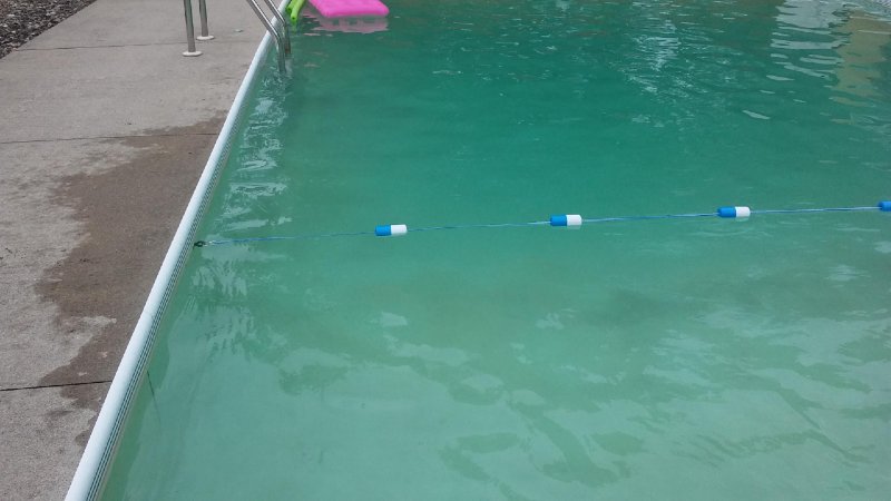 How To Fix A Green Salt Water Pool