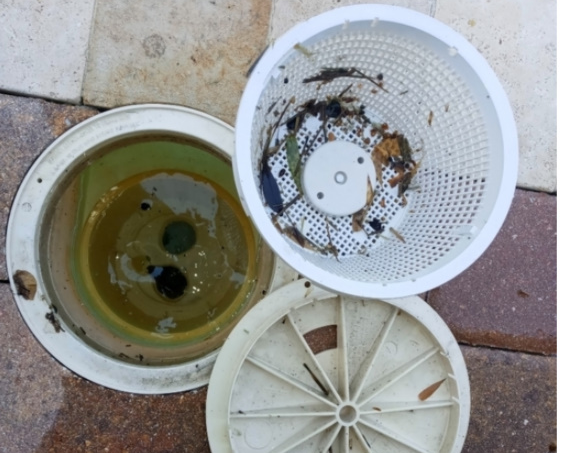 Common Pool Maintenance Mistakes and How To Fix Them